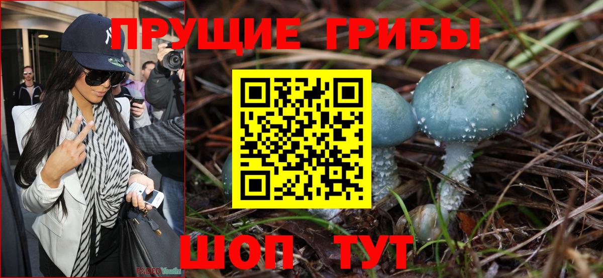 Псилоцибиновые грибы GOLDEN TEACHER Кузнецк