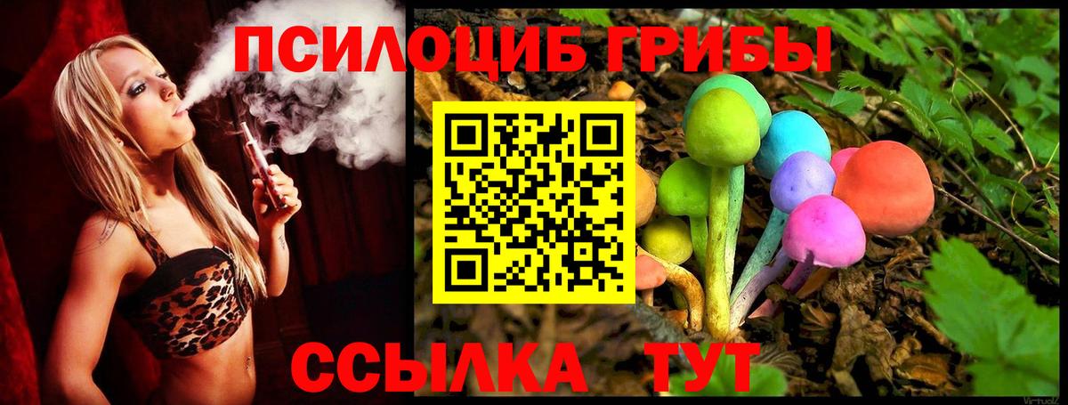 Галлюциногенные грибы GOLDEN TEACHER  Вход с VPN  Кузнецк 